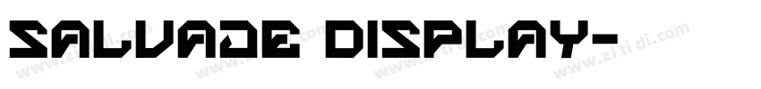 Salvaje Display字体转换